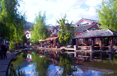 點擊查看 品途旅游網案例
