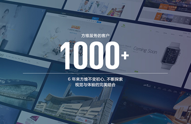 方維網站建設案例圖片
