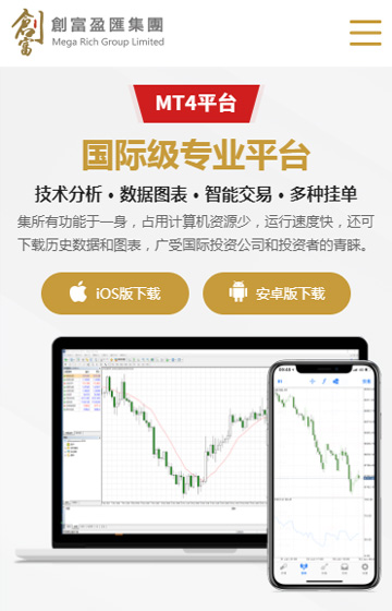 創富盈匯集團有限公司網站案例圖片3