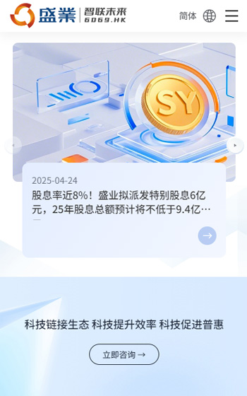 盛業(yè)控股網站案例圖片3