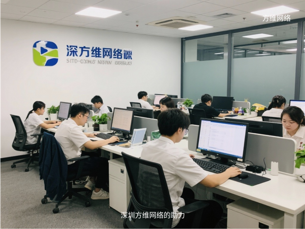 深圳方維網(wǎng)絡(luò)的助力