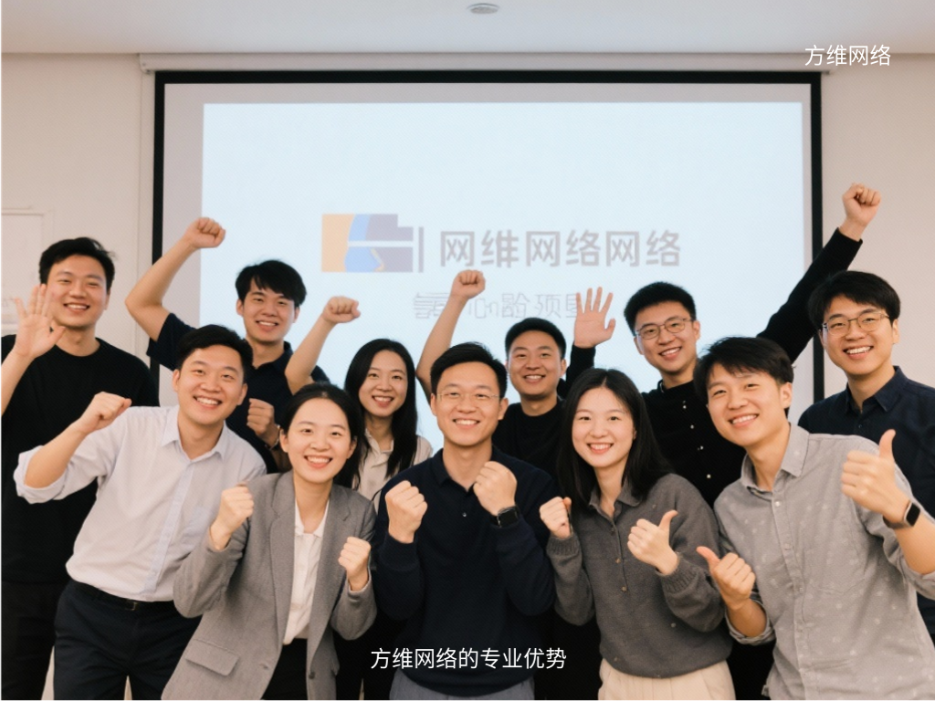 方維網絡的專業優勢