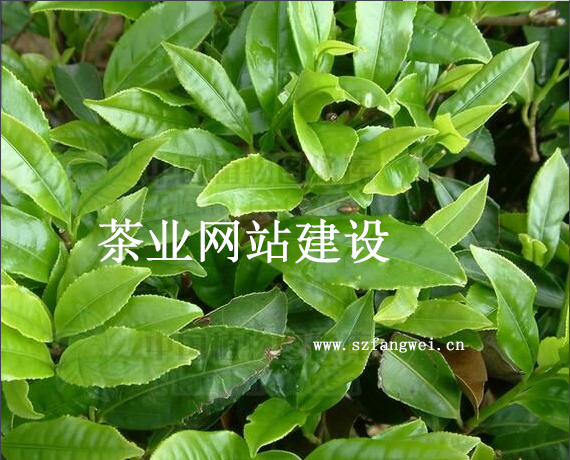 茶業網站建設