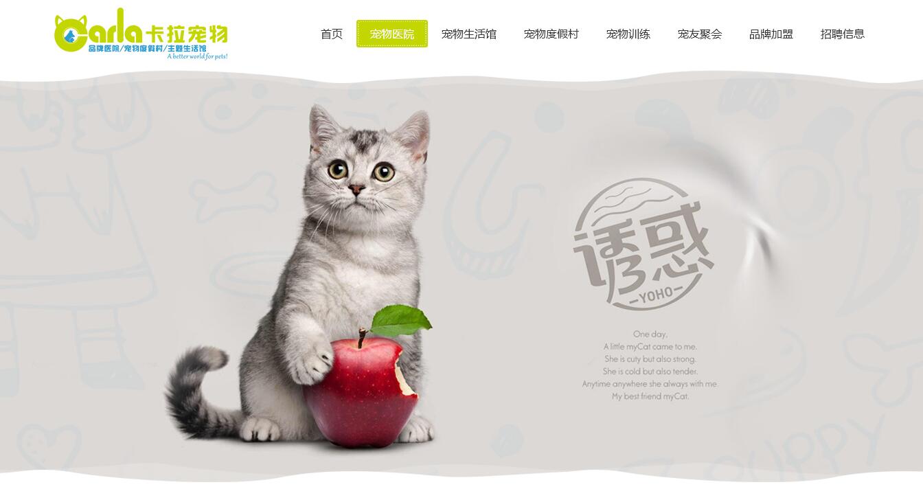 寵物網站設計